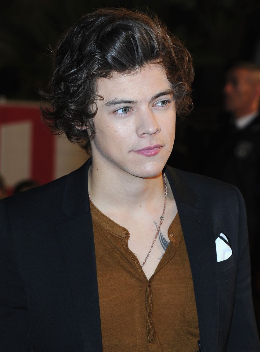 Harry Styles Height Weight Workout T Muscle World Harry Styles Height Weight Workout T Muscle World